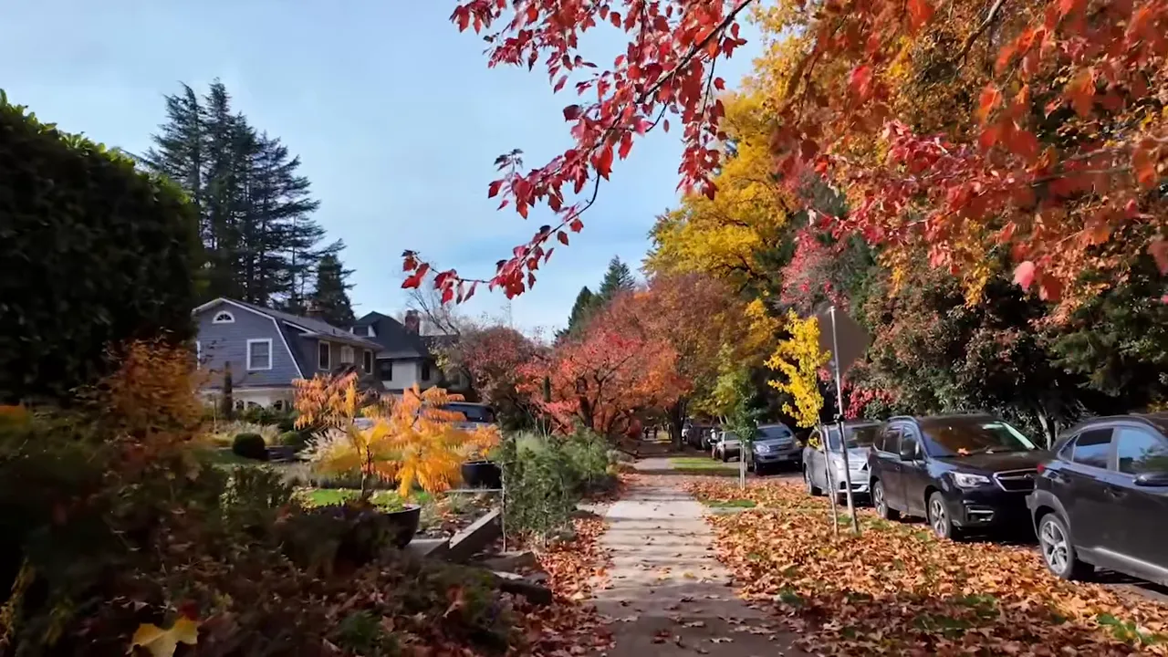 Autumn street view with stately homes and mature trees in the Laurelhurst neighborhood of Portland