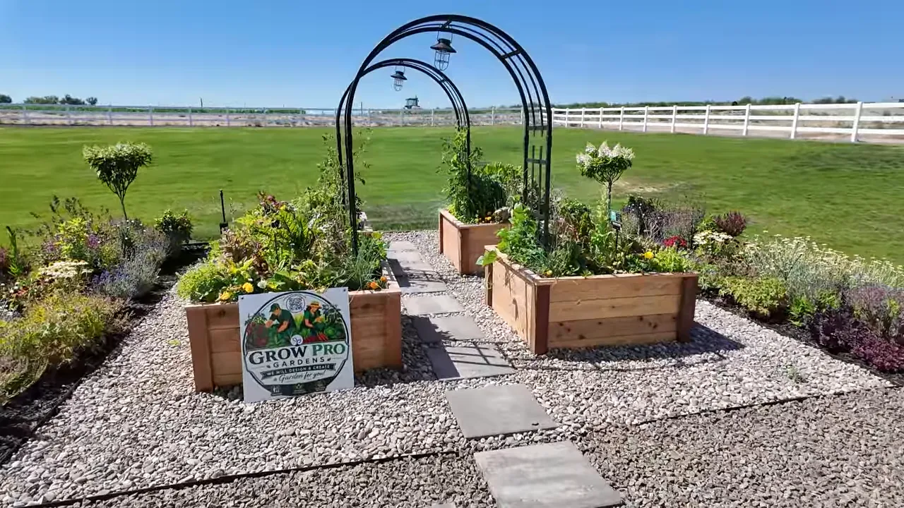 Raised garden beds beneath black arched trellises with lawn and white fence behind