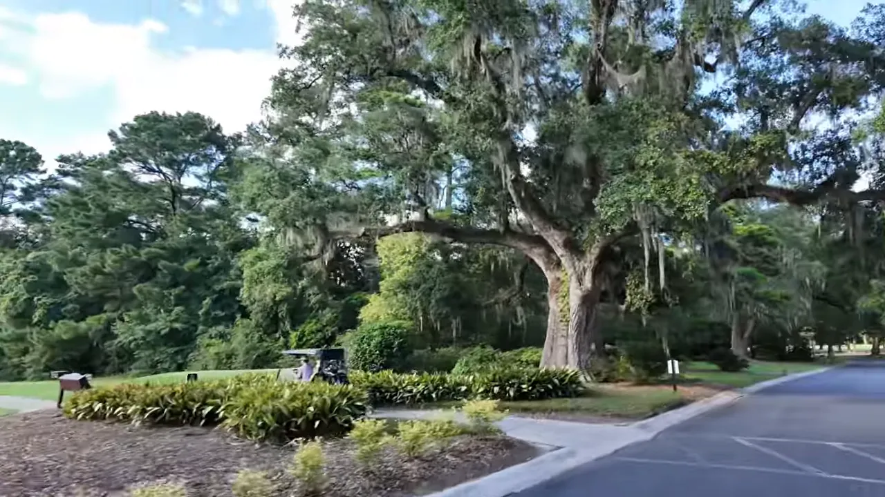 Mature live oak canopy and landscaped entrance road at Legend Oaks Plantation in Summerville SC