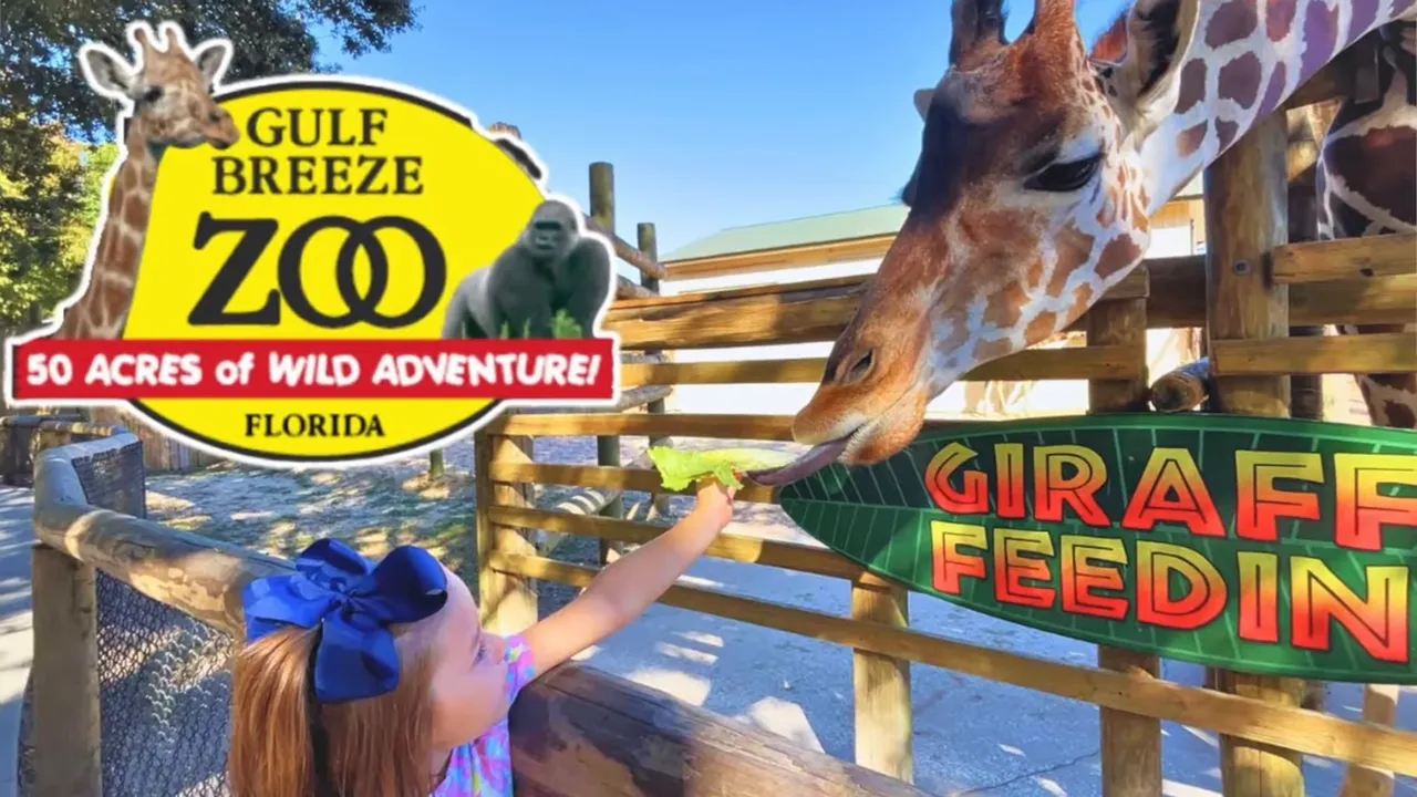 Sign and animals at Gulf Breeze Zoo in Florida