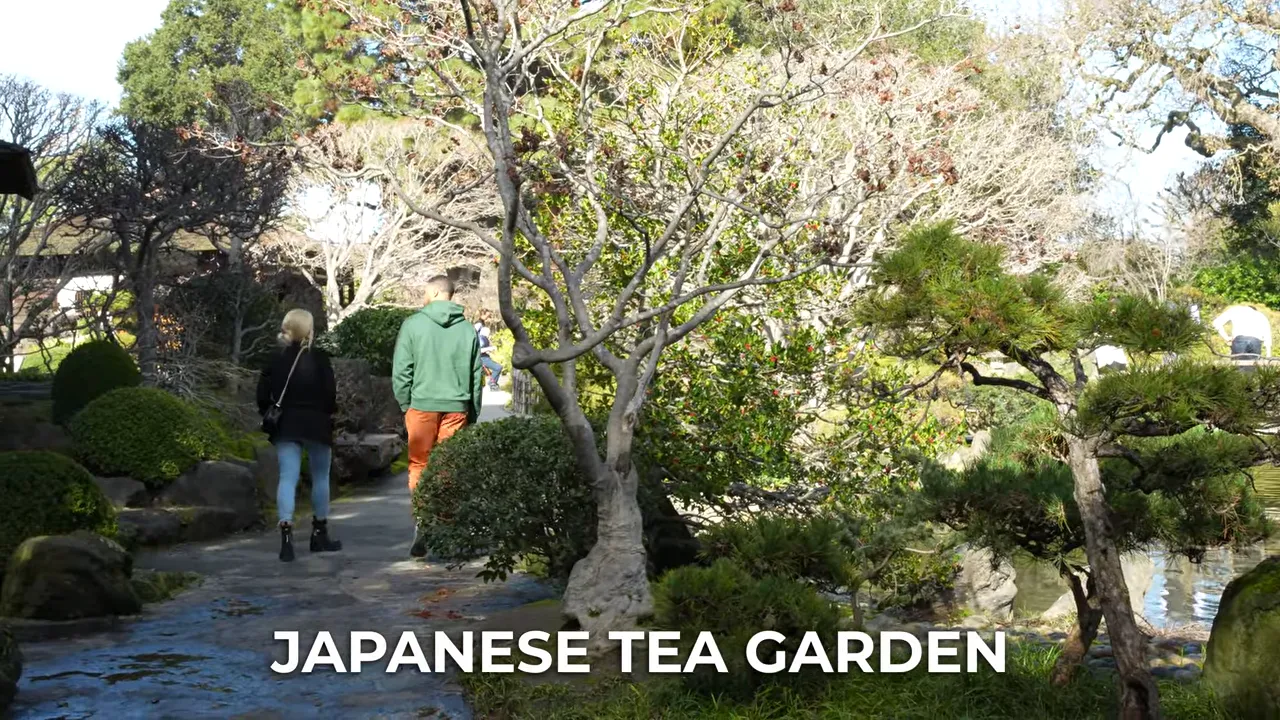 Japanese Tea Garden pathways