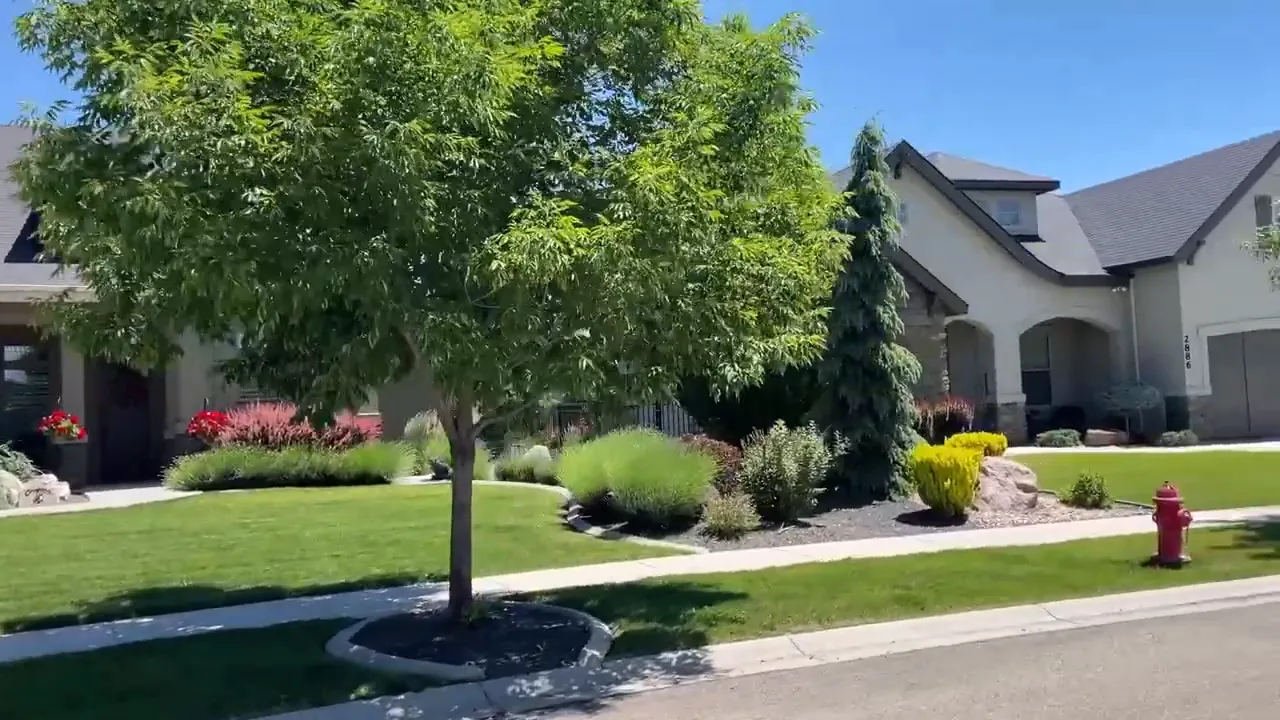 Suburban homes with manicured lawns, mature trees, and sidewalks