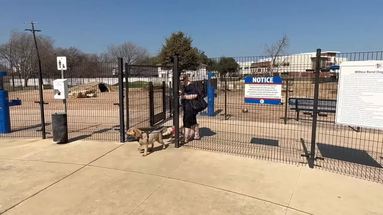 Dog walking inside Willow Bend Dog Park with a fenced off-leash area in Wells Branch, Texas