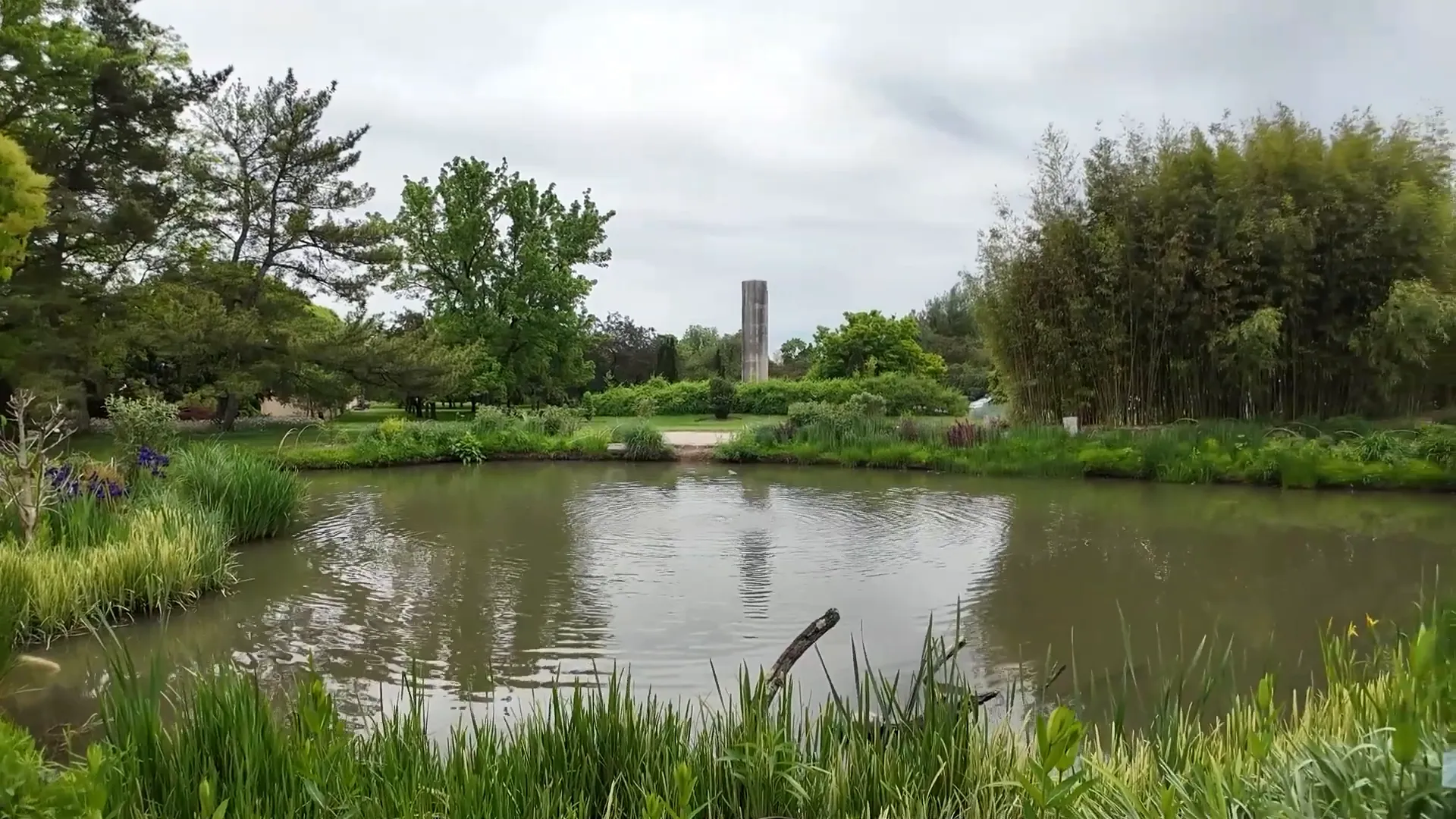 Scenic lake view