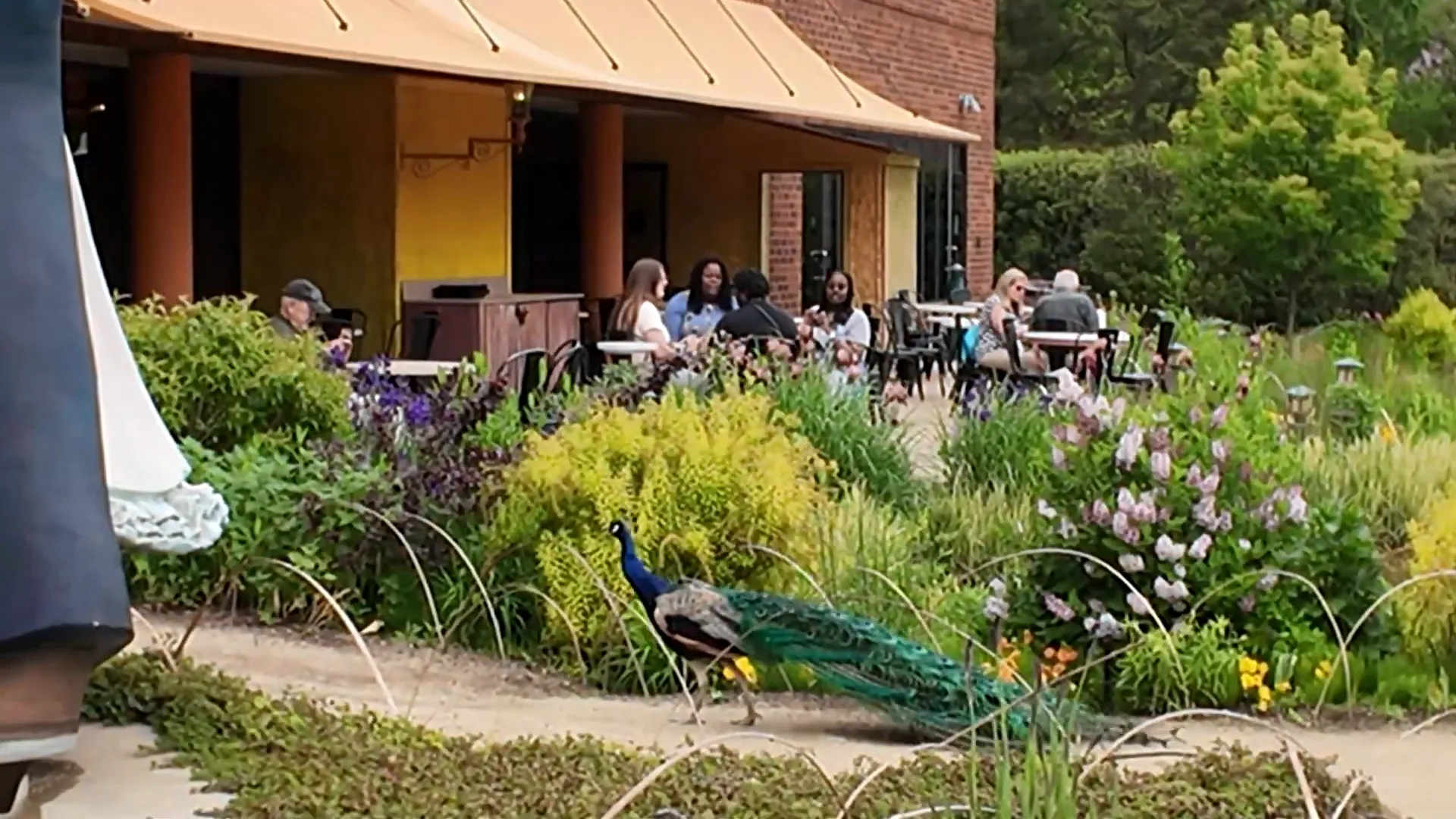 Dining area at the restaurant