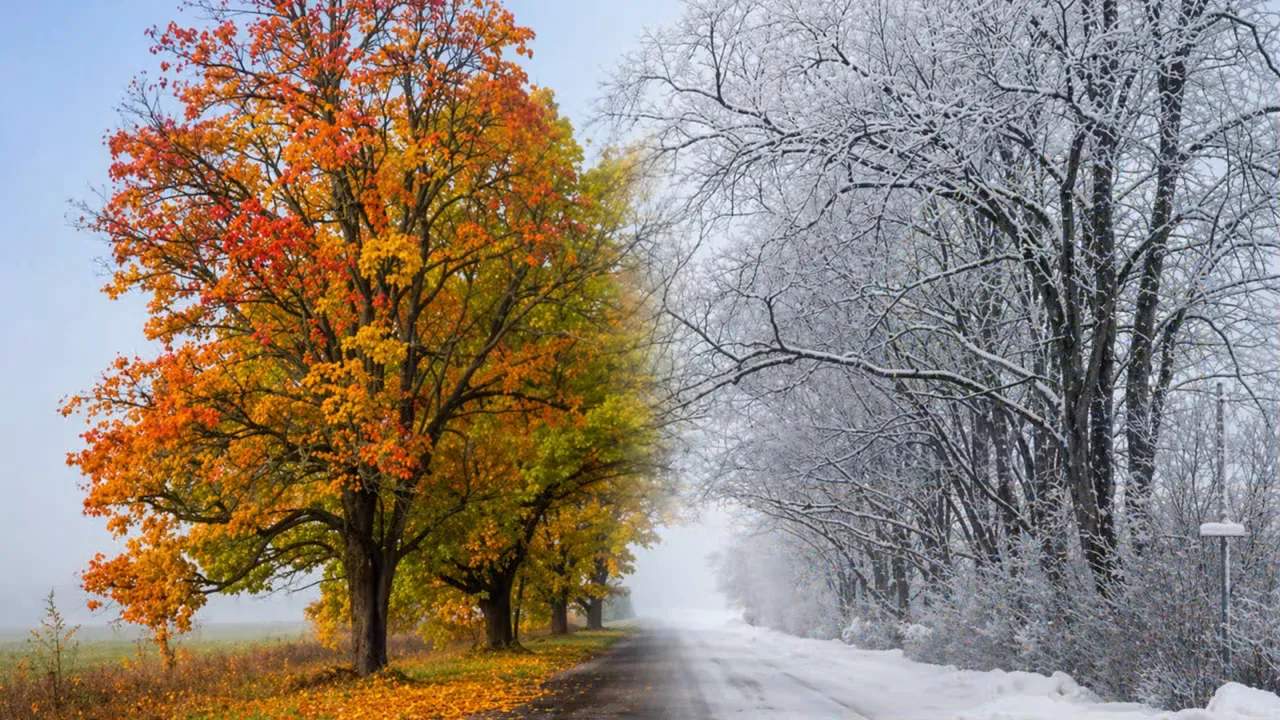 Split-style view of fall foliage and a winter snow scene illustrating rapidly changing Idaho weather