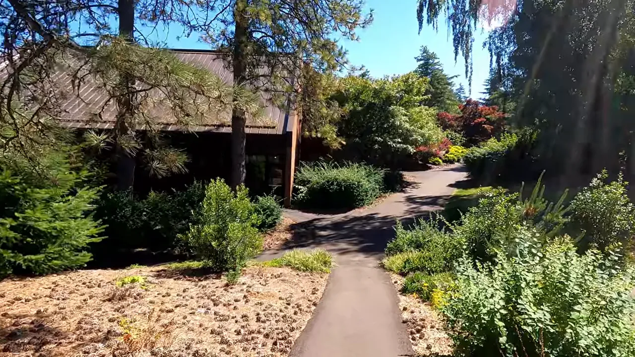 Walk way in Mountain Park