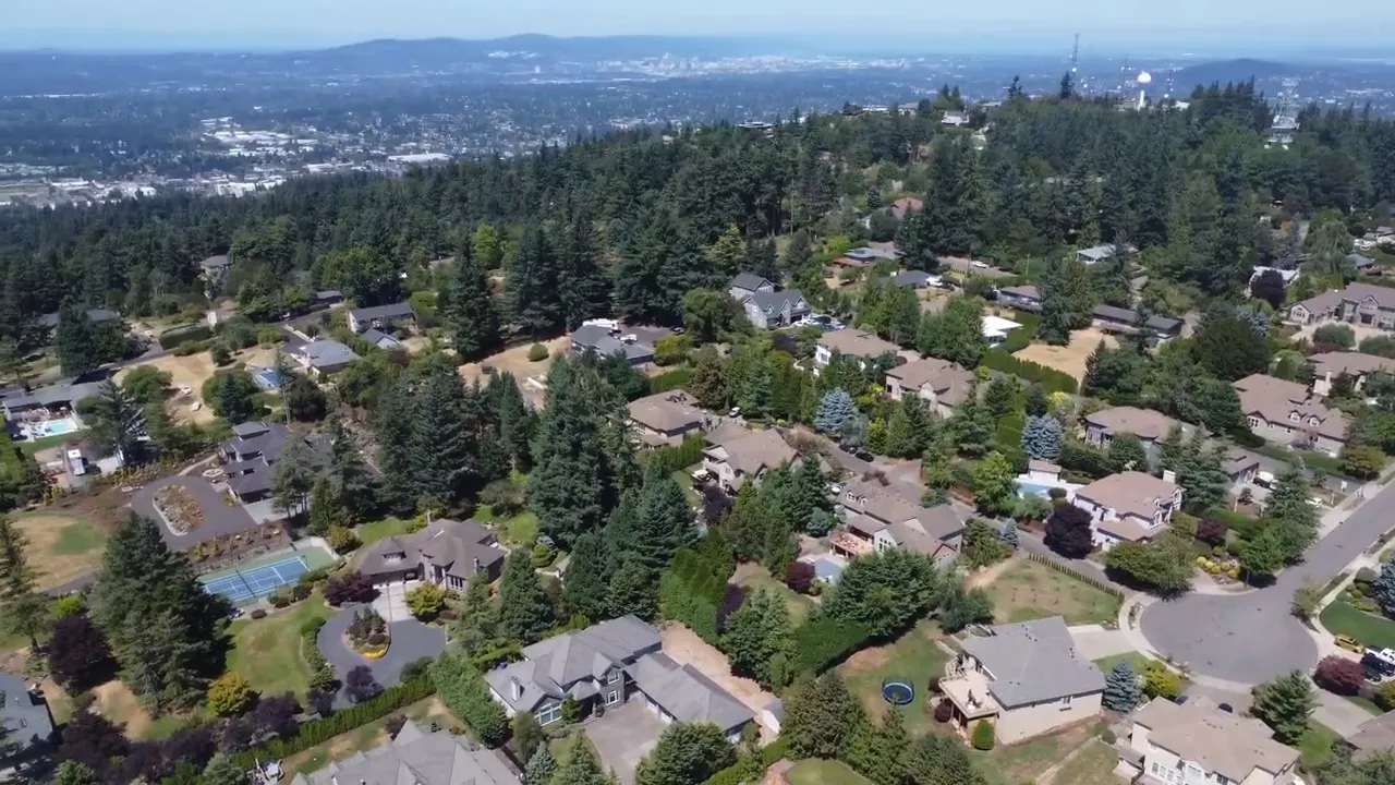 Aerial view of homes among mature trees on a hillside with distant city views