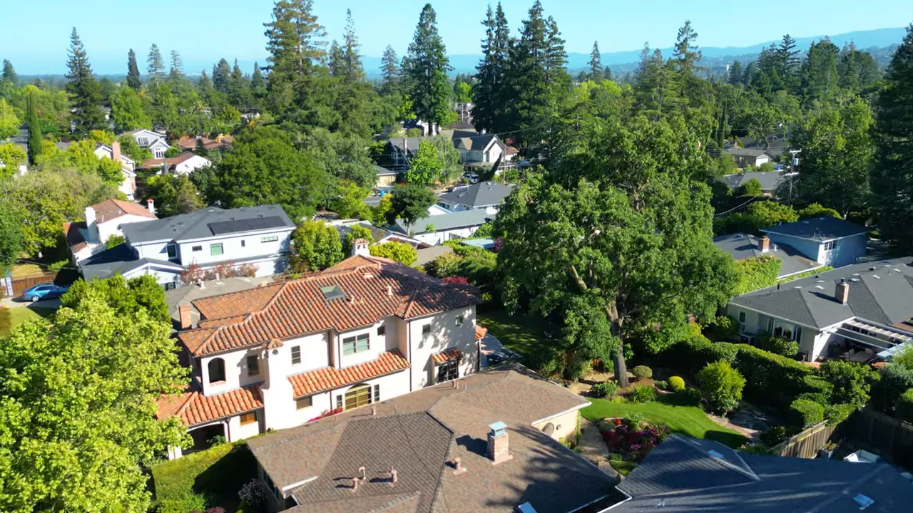 Aerial view of Edgewood Park neighborhood trees and homes in Redwood City