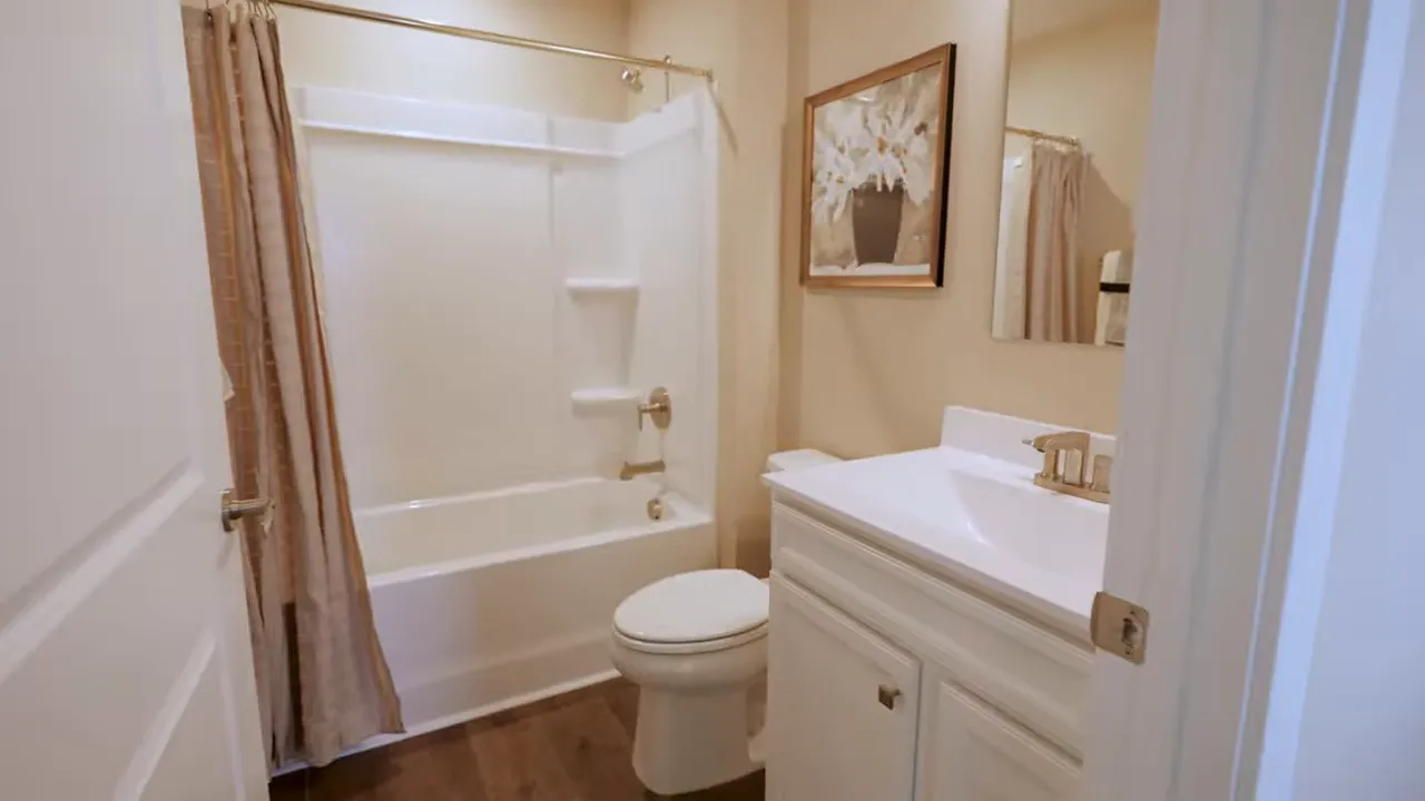 Hall bathroom with white vanity toilet and bathtub shower combination