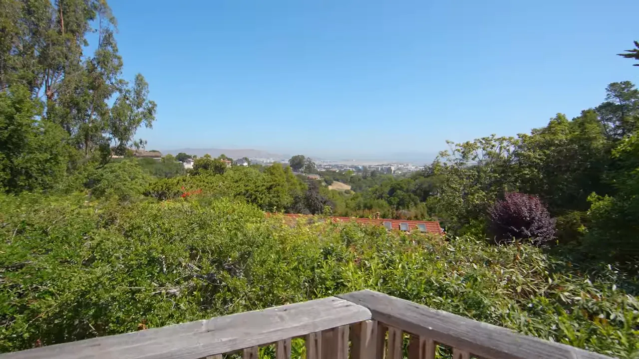 Panoramic view over treetops and distant bay from a wooden deck in Burlingame Hills