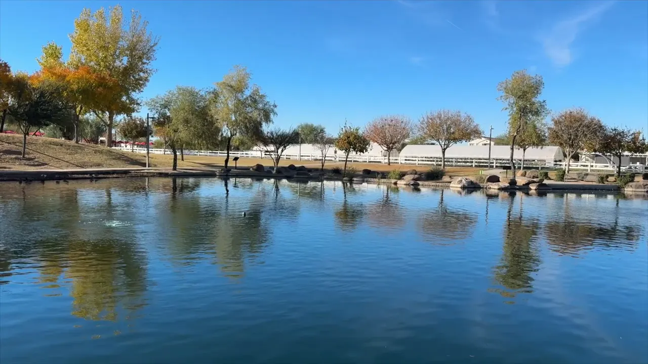 Pond with trees reflected in the water at a community park