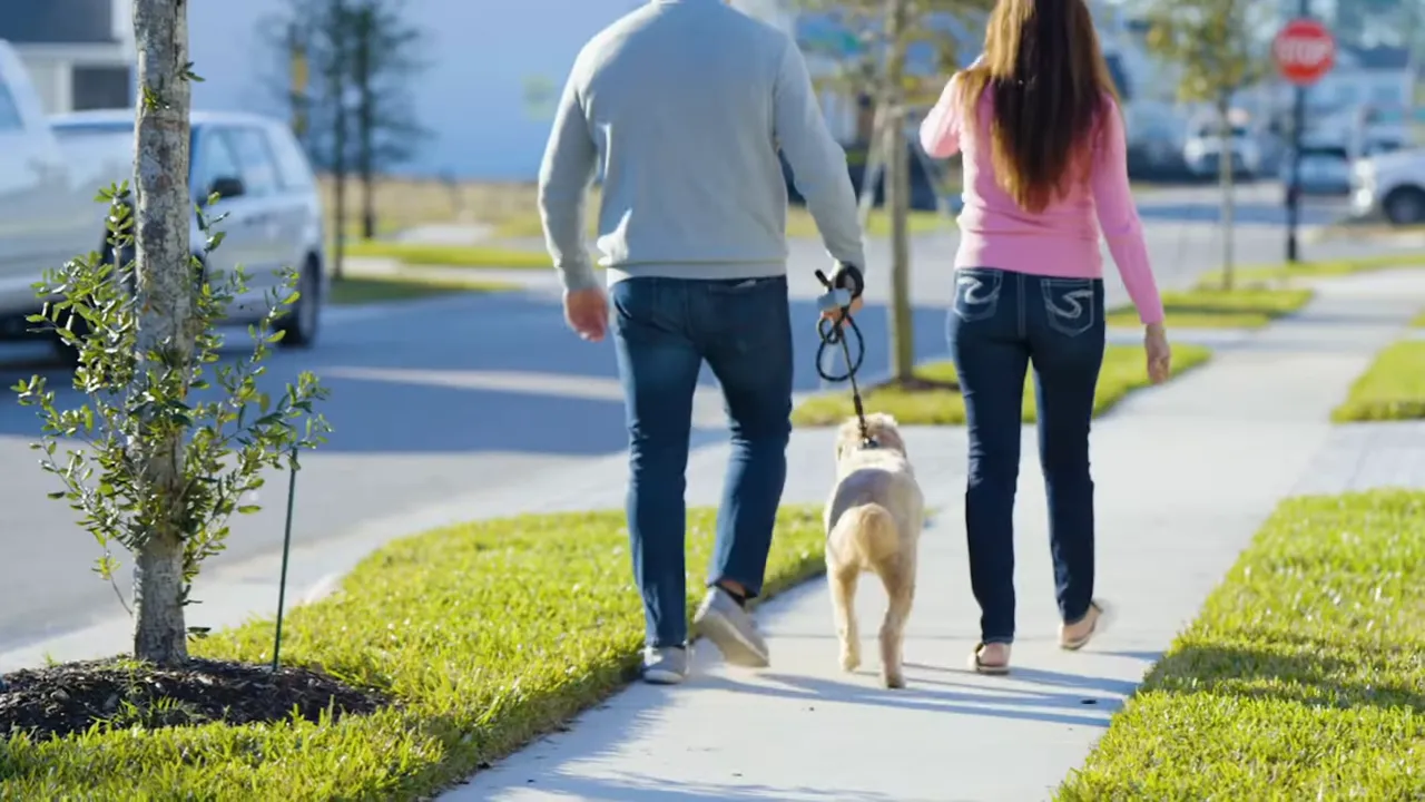 Couple walking a dog on a neighborhood sidewalk