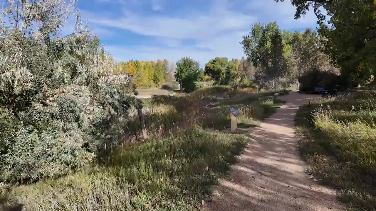 Dirt path curving through open grassy natural area