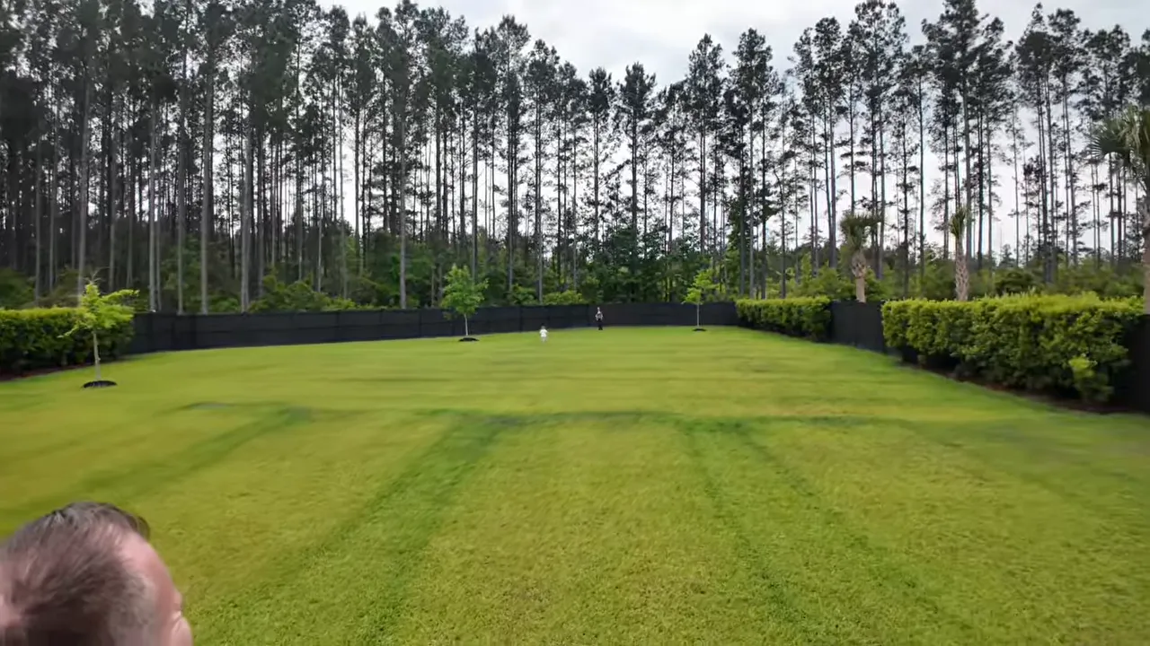 Wide grassy backyard stretching to black fence and tall trees in the distance