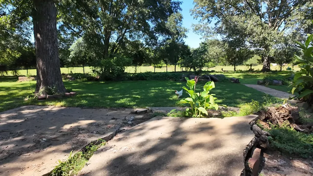 Large fallen tree trunk and branches across a shaded yard