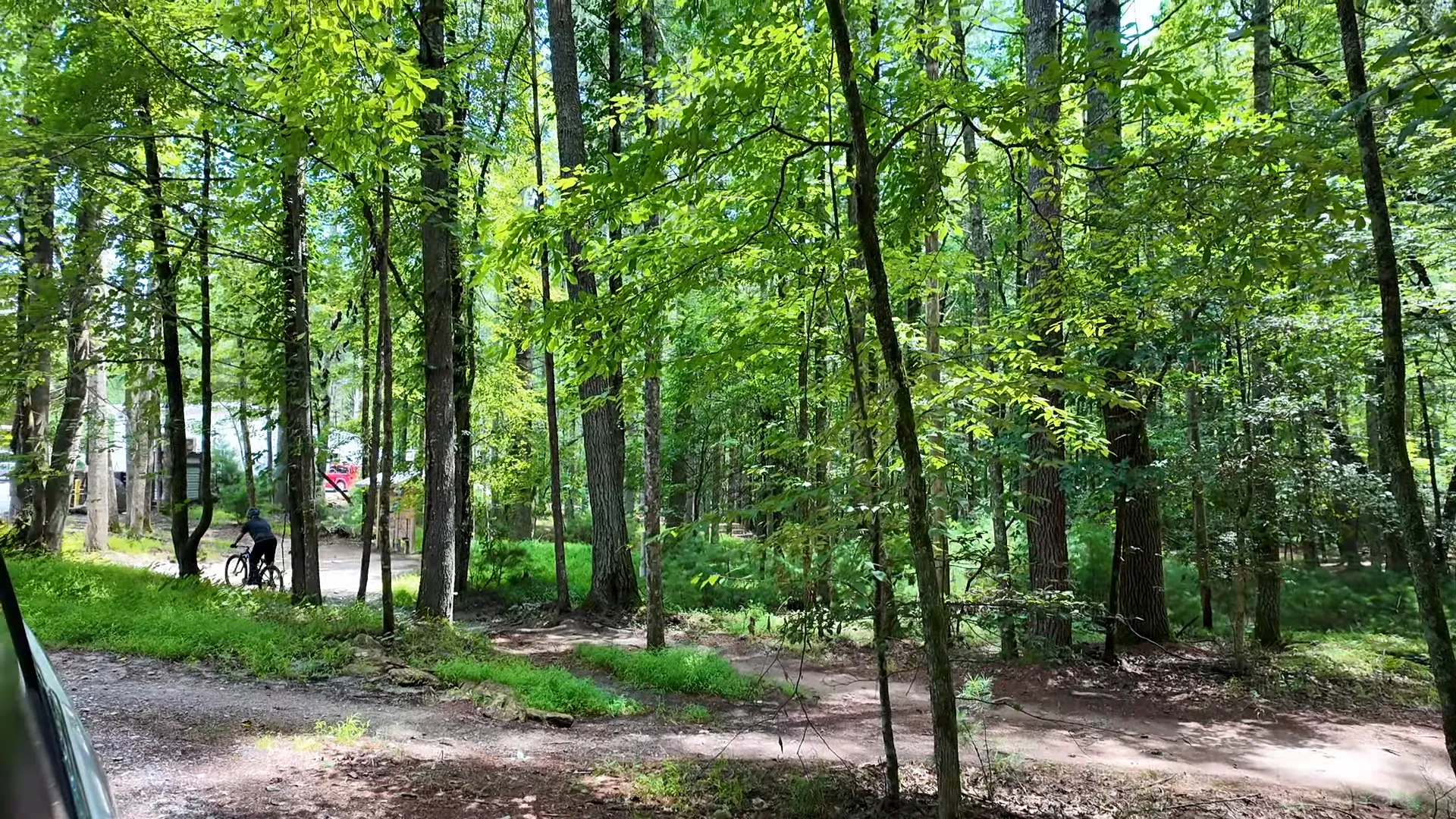 Mountain biking park with trails