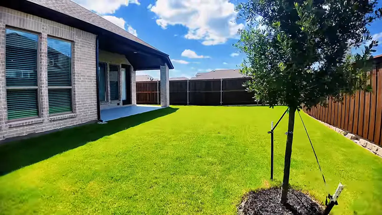 Backyard with green lawn covered patio and rear windows of new home