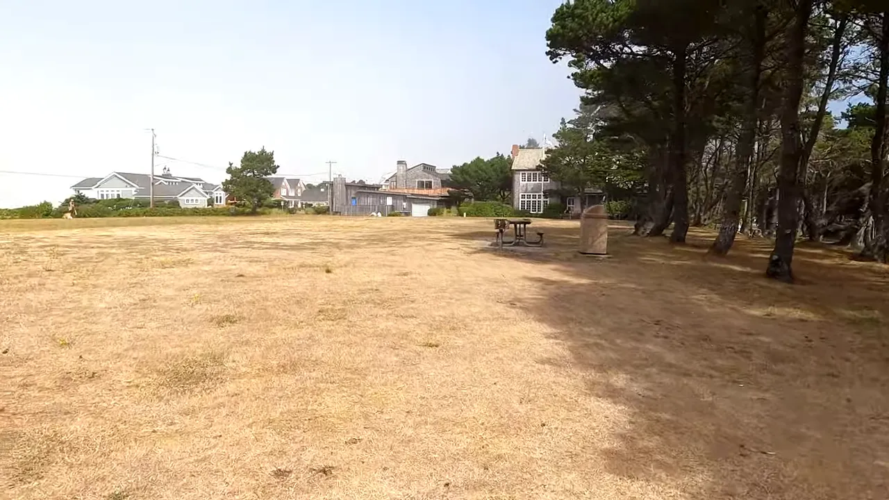 Open dune meadow with beach houses in the distance and pine trees at the edge