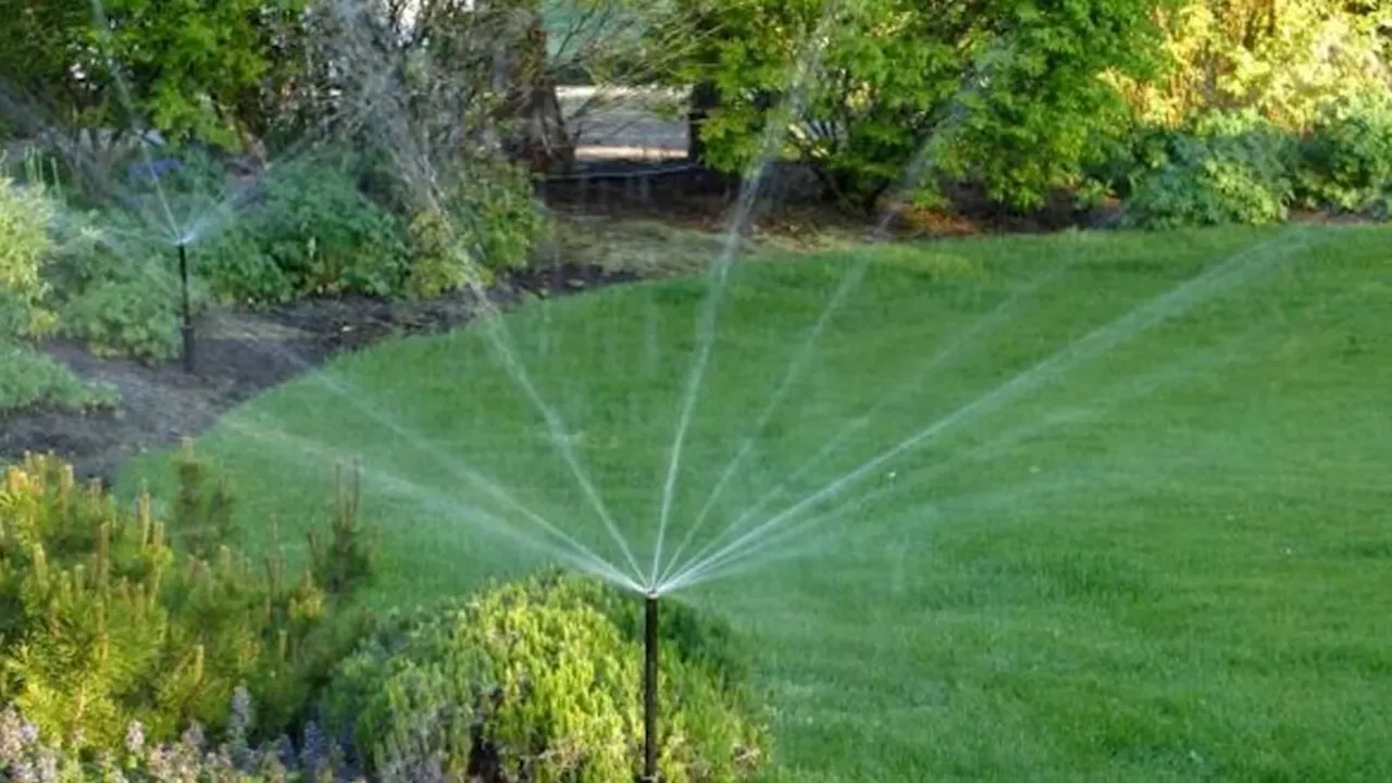 Residential sprinkler irrigation spraying over a large green lawn