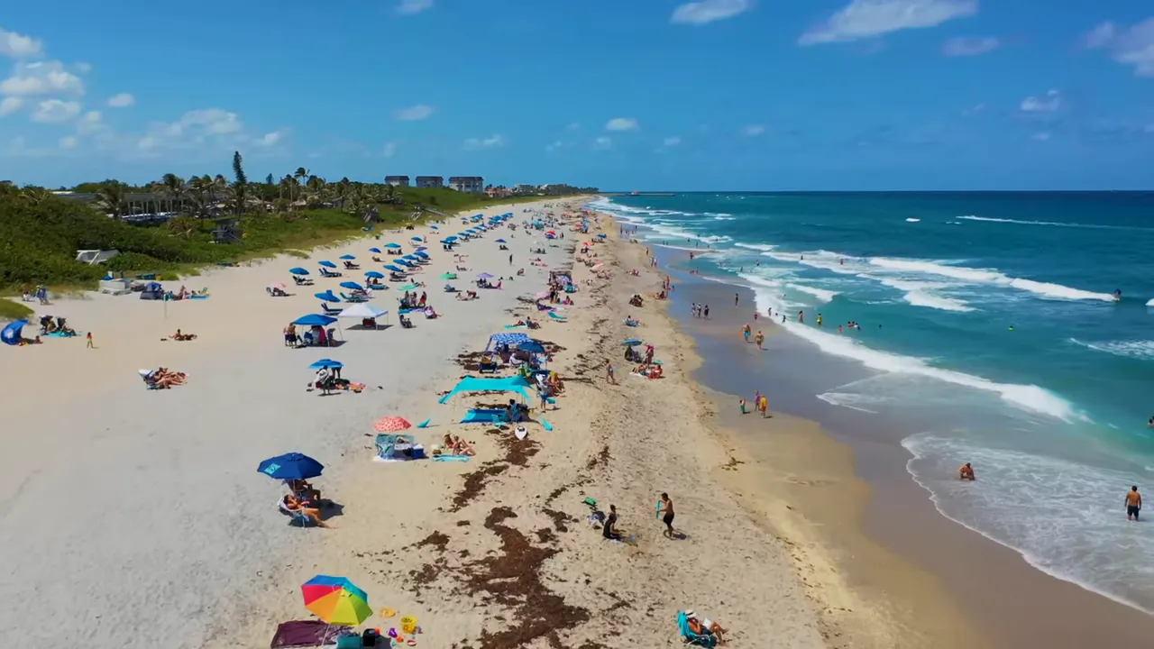 Oceanfront Park Beach with shoreline and palm trees