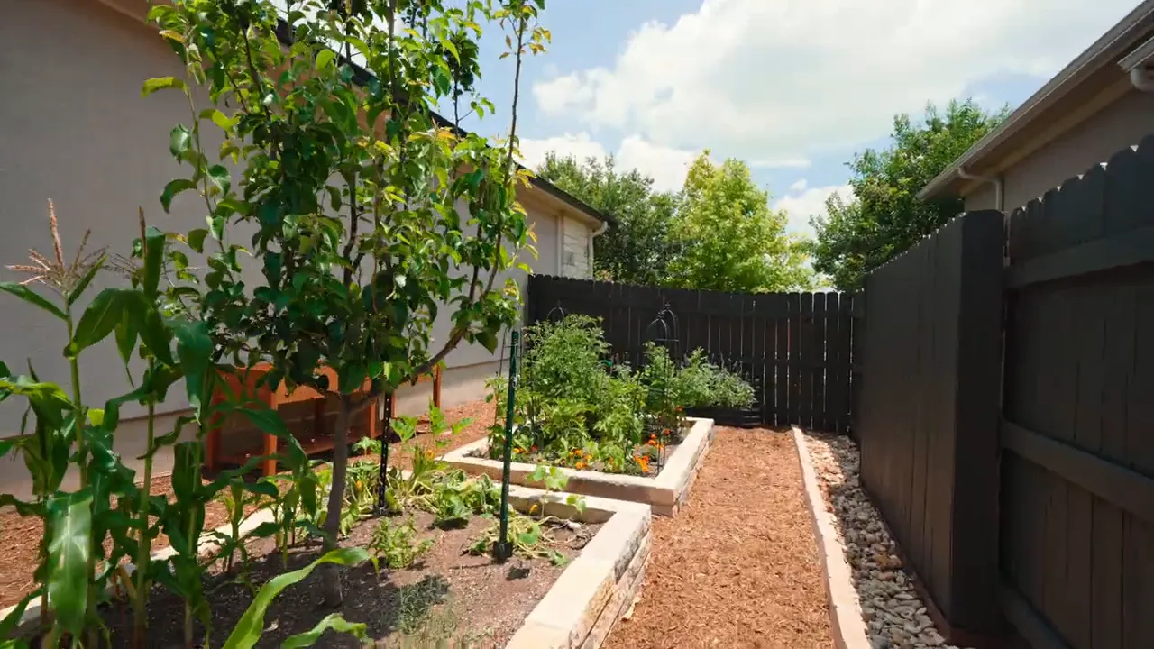 Raised vegetable garden beds with path and fence alongside the home
