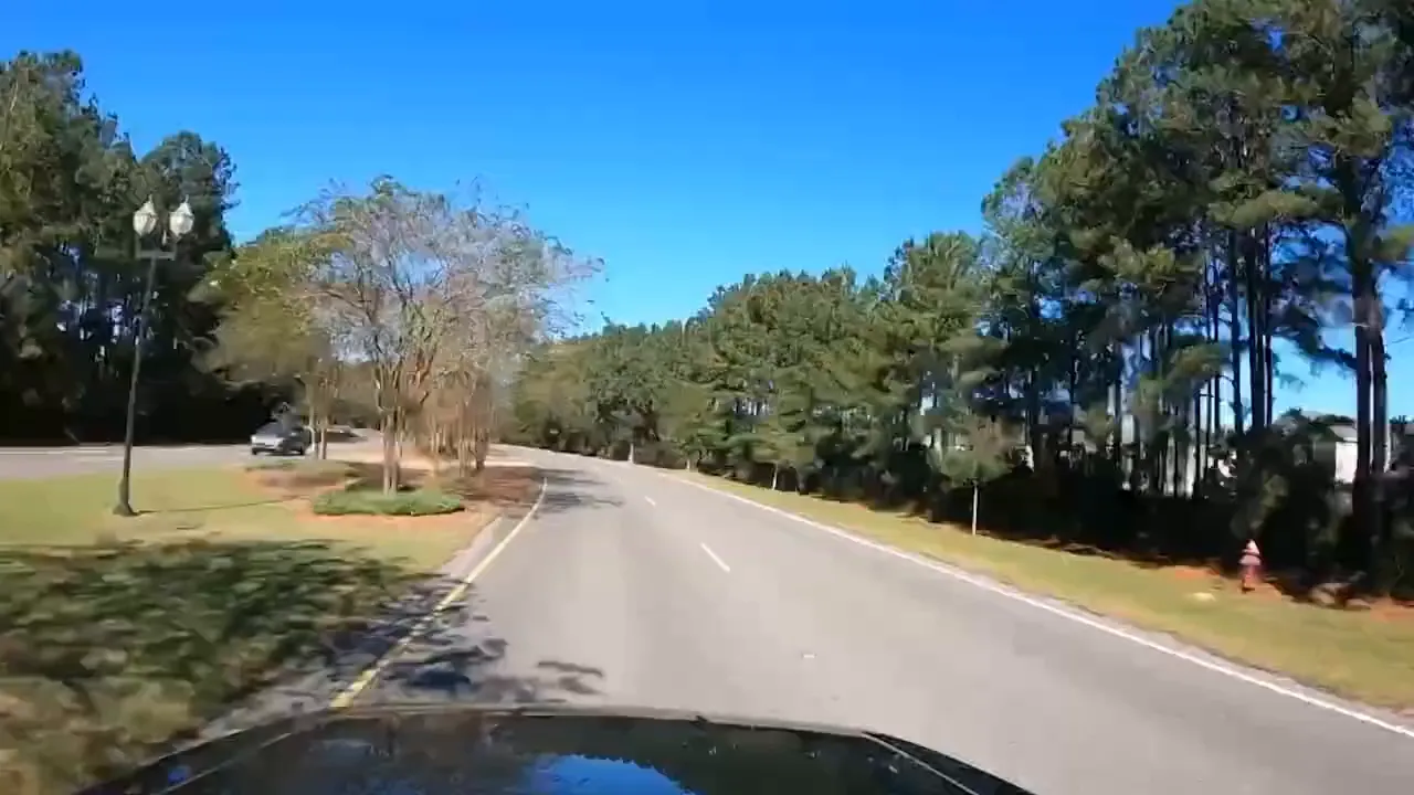 View from inside a vehicle driving along a quiet road with trees lining both sides in the Summerville SC area