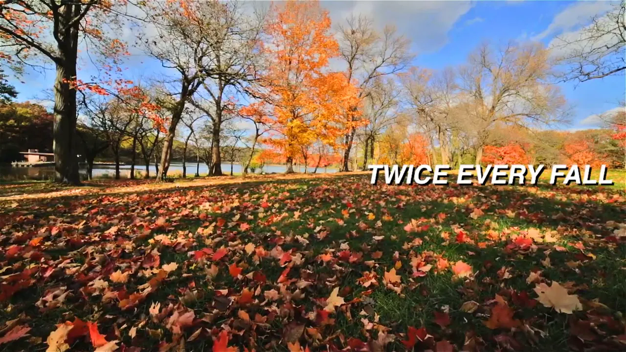 Ground covered in colorful fall leaves with trees in the background and text reading twice every fall