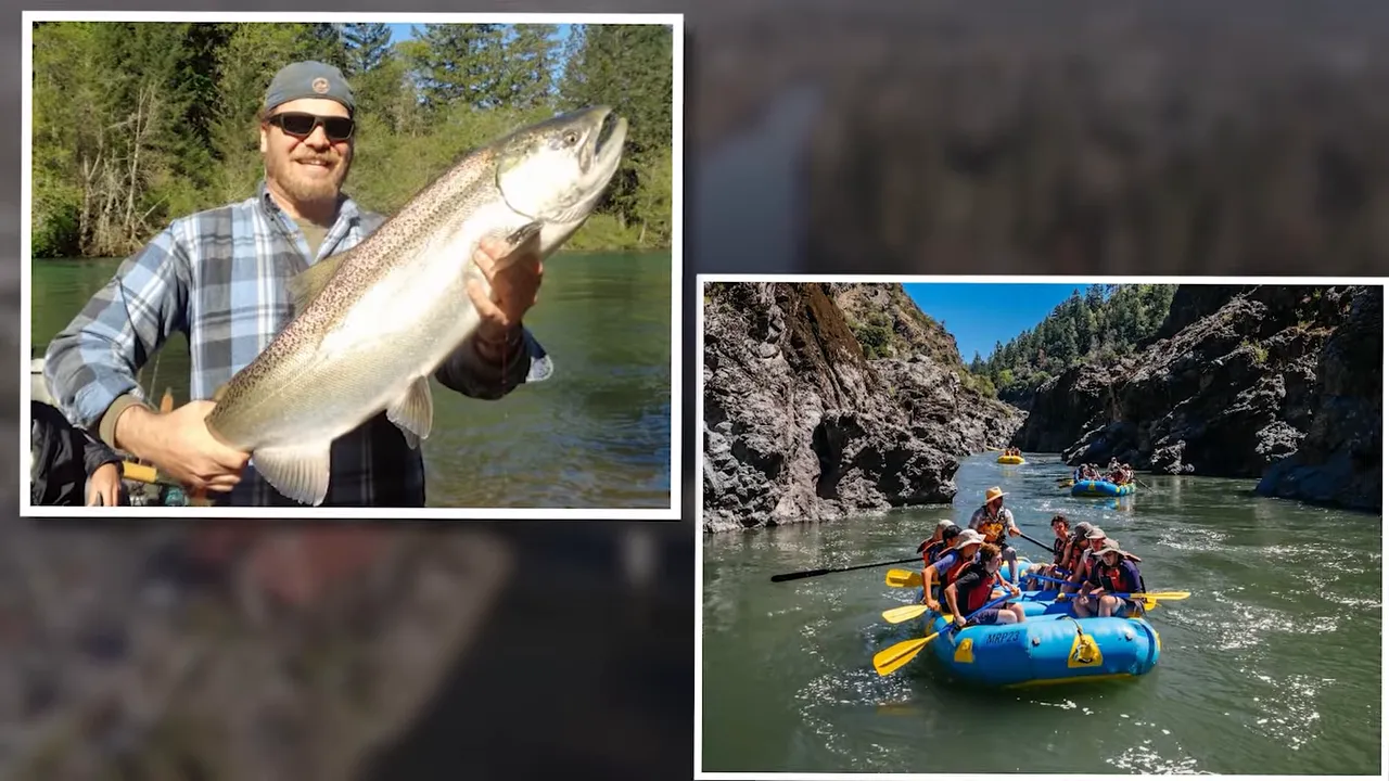 split screen showing a large fish and people rafting on a river