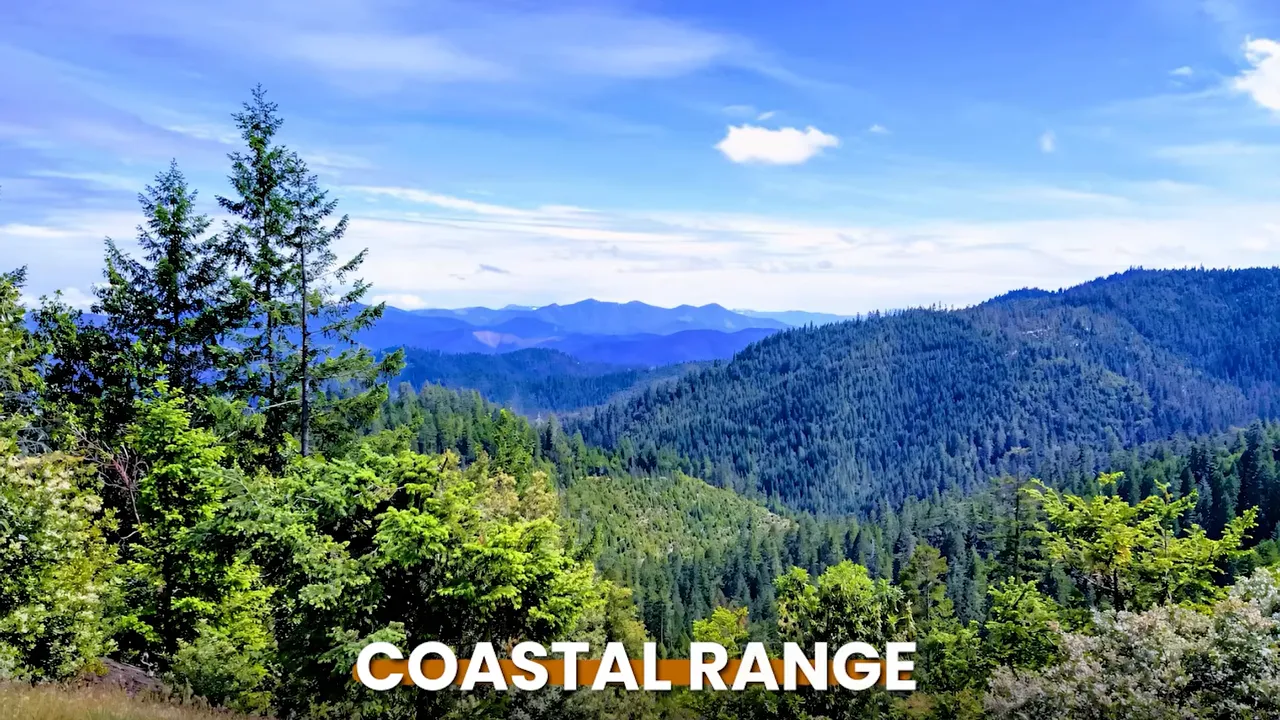 Forested Coastal Range mountains under blue sky