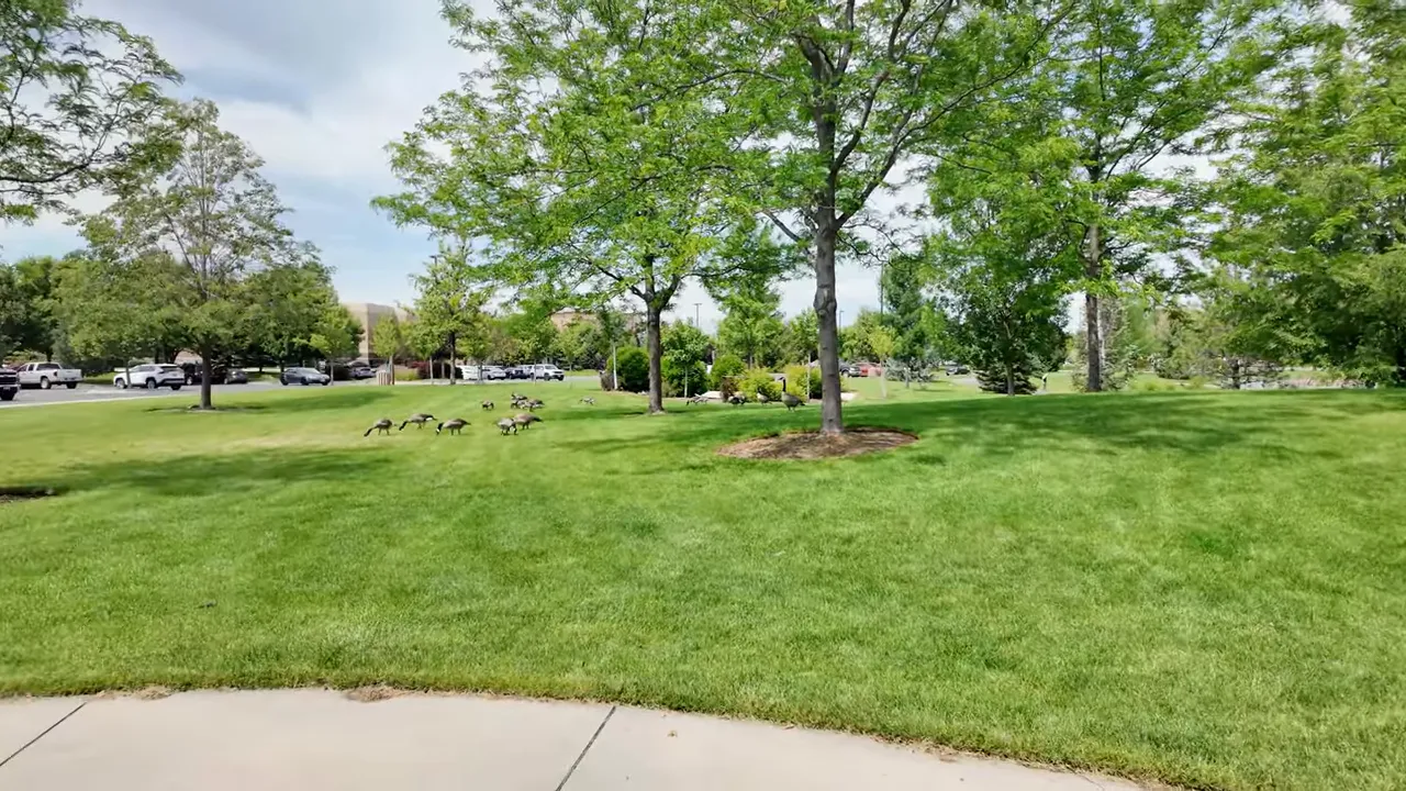Green park lawn with trees sidewalk bench and landscaped flowerbeds