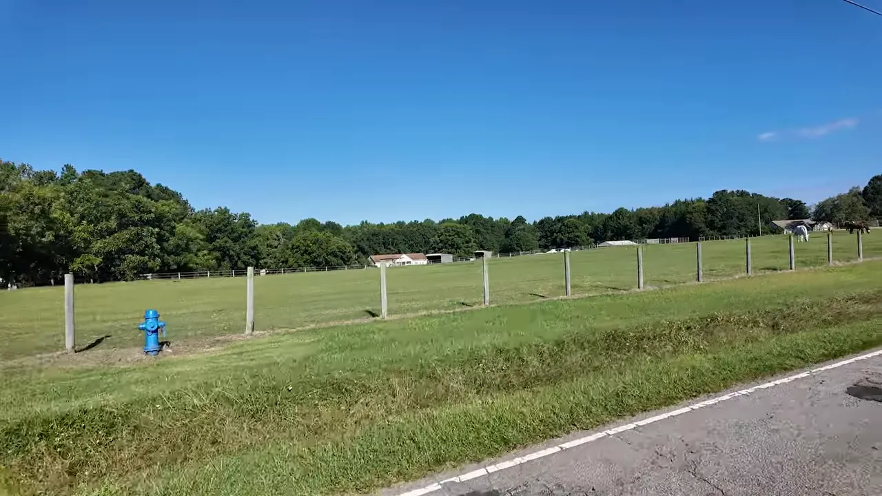 Open green pasture with fence posts beside a rural road