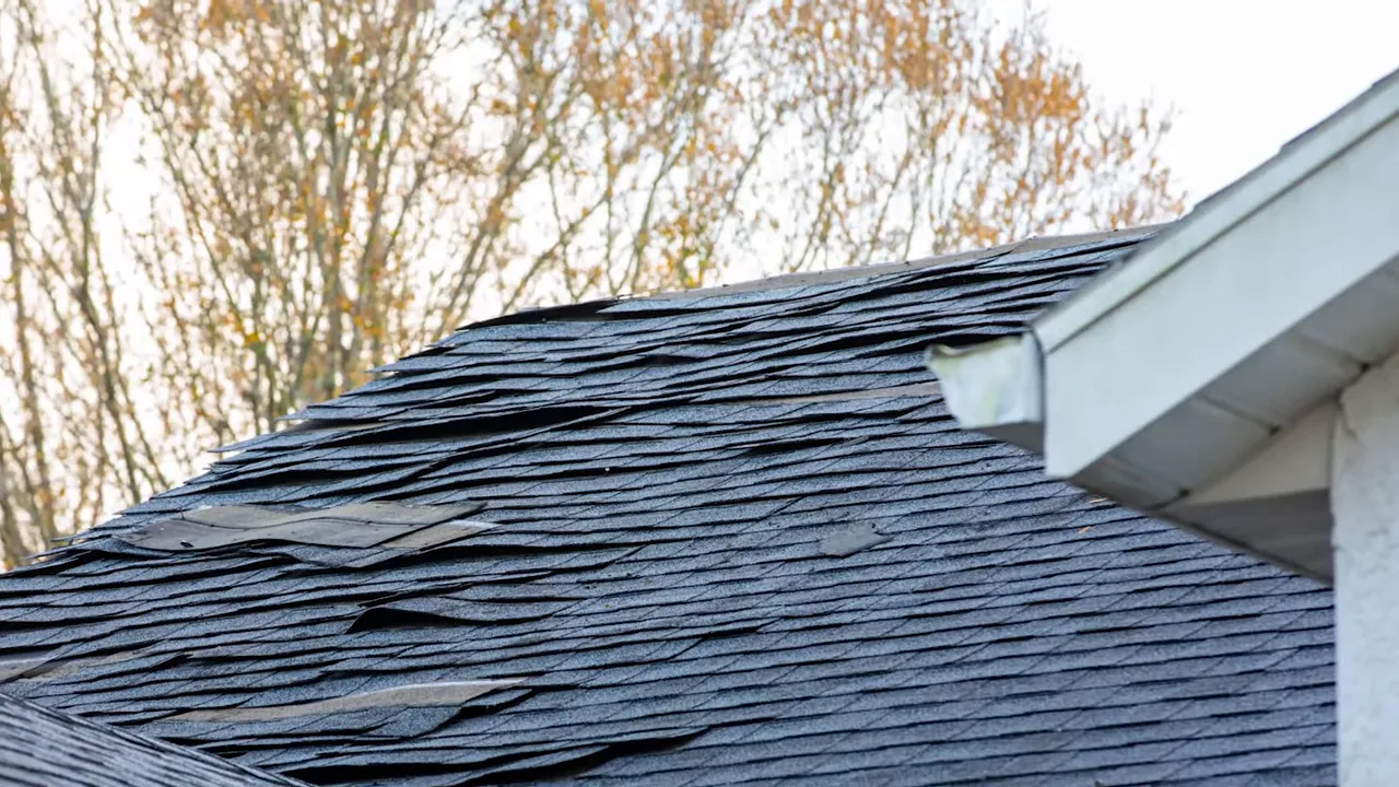 Close-up of an asphalt shingle roof surface