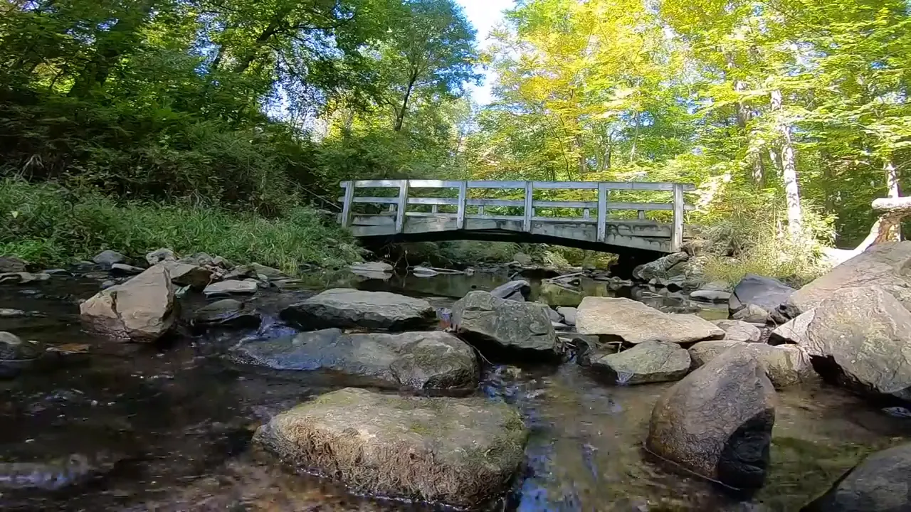 Rocky stream with a small bridge in a wooded park setting