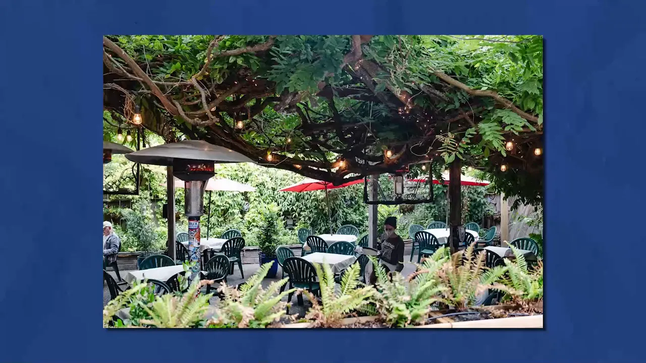 Outdoor patio dining area with string lights and lush greenery in Jacksonville Oregon