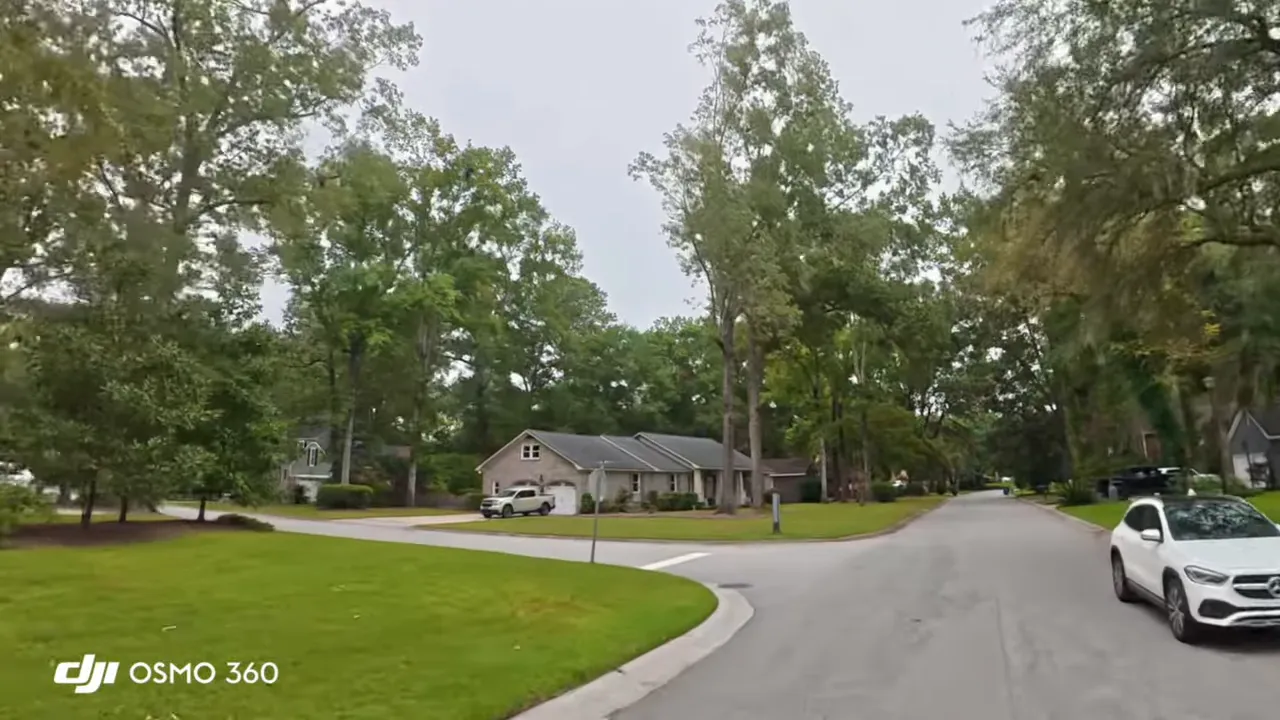 Wide view of a tree-lined residential intersection in Summerville with mature trees and houses