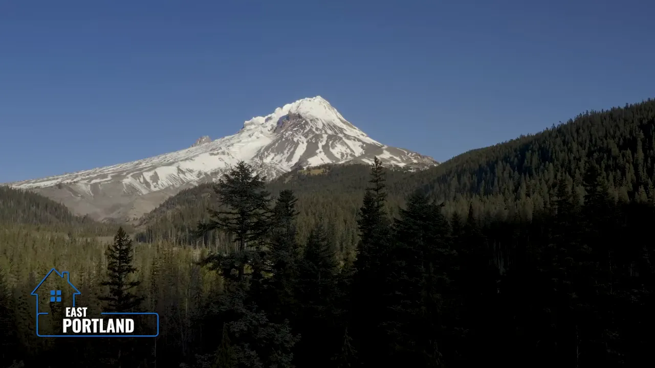 Snow-covered Mount Hood rising above a dark evergreen forest
