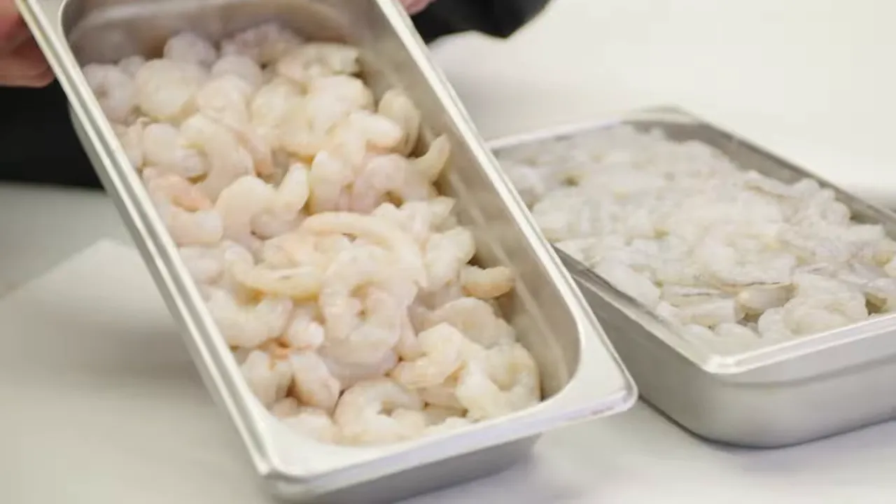 Trays of peeled Gulf shrimp in stainless steel pans ready for prep