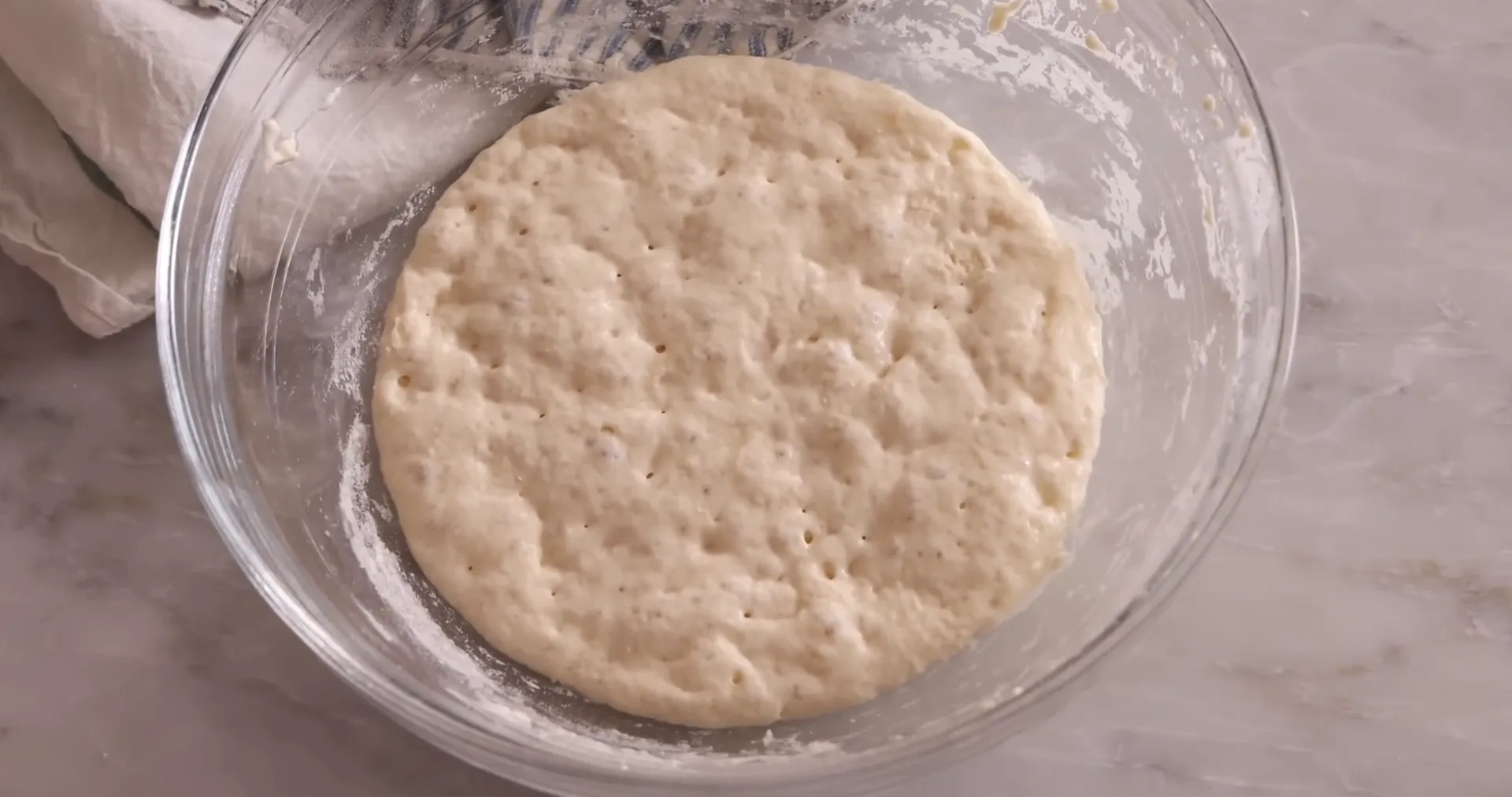 Bubbly sponge after several hours of fermentation