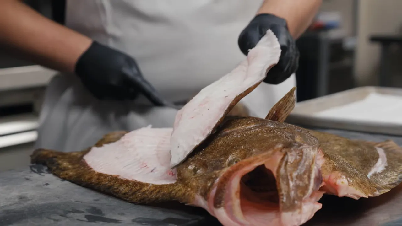 Chef lifting a turbot fillet to show the white flesh and skin during filleting