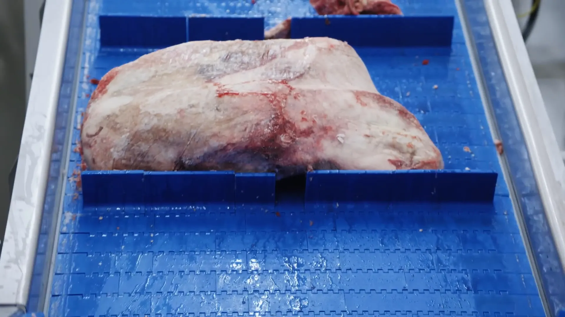 Laser cutter precisely sizing porterhouse steaks