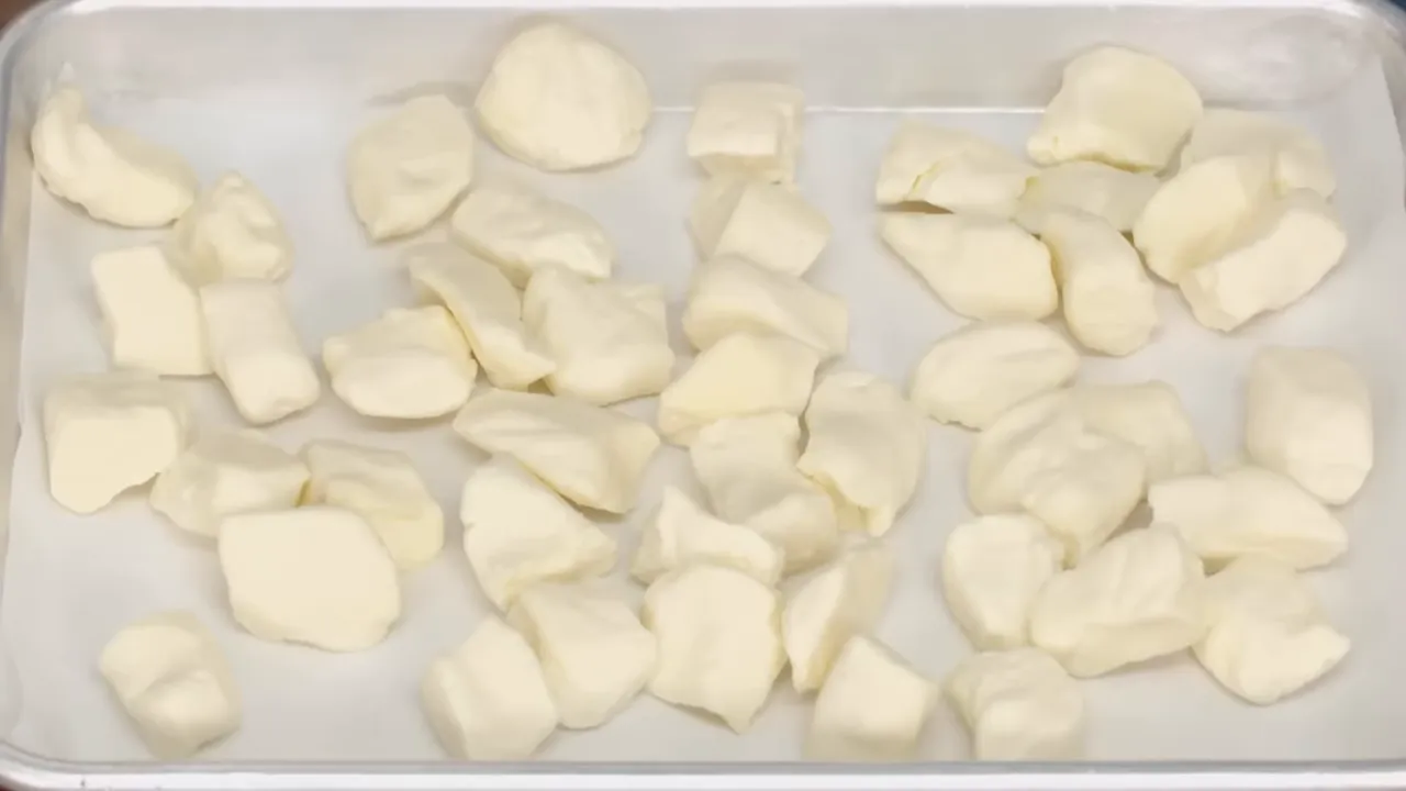 parchment-lined sheet pan covered with portioned cheese curds ready to freeze