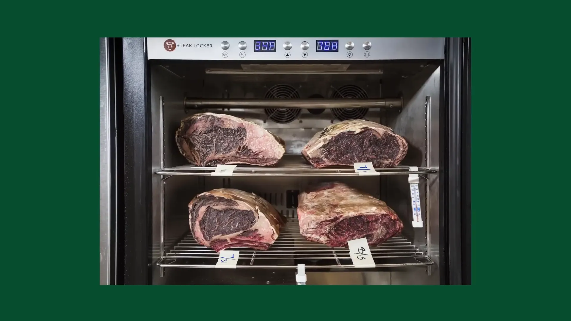 Close-up of dry aged beef showing deep color and mold