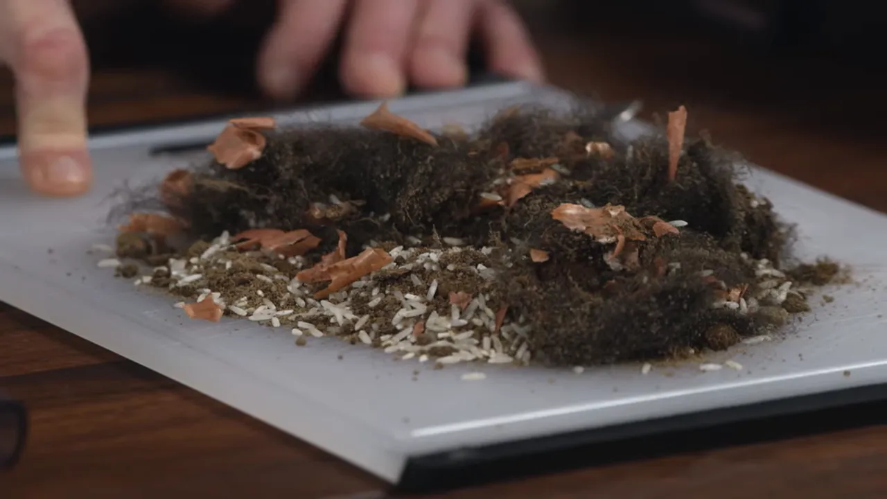 Close-up of a plate of test debris showing rice, dirt, onion skin flakes and clumps of pet hair on a cutting board
