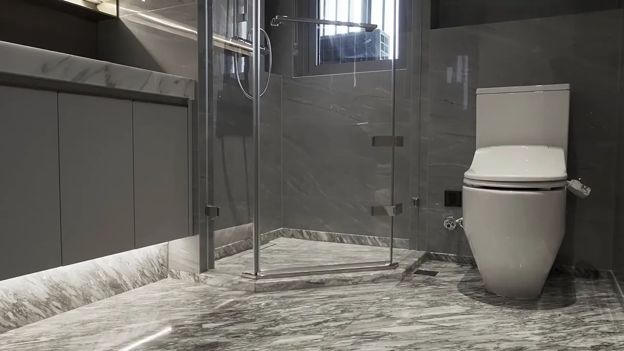 modern bathroom with walk-in shower and toilet