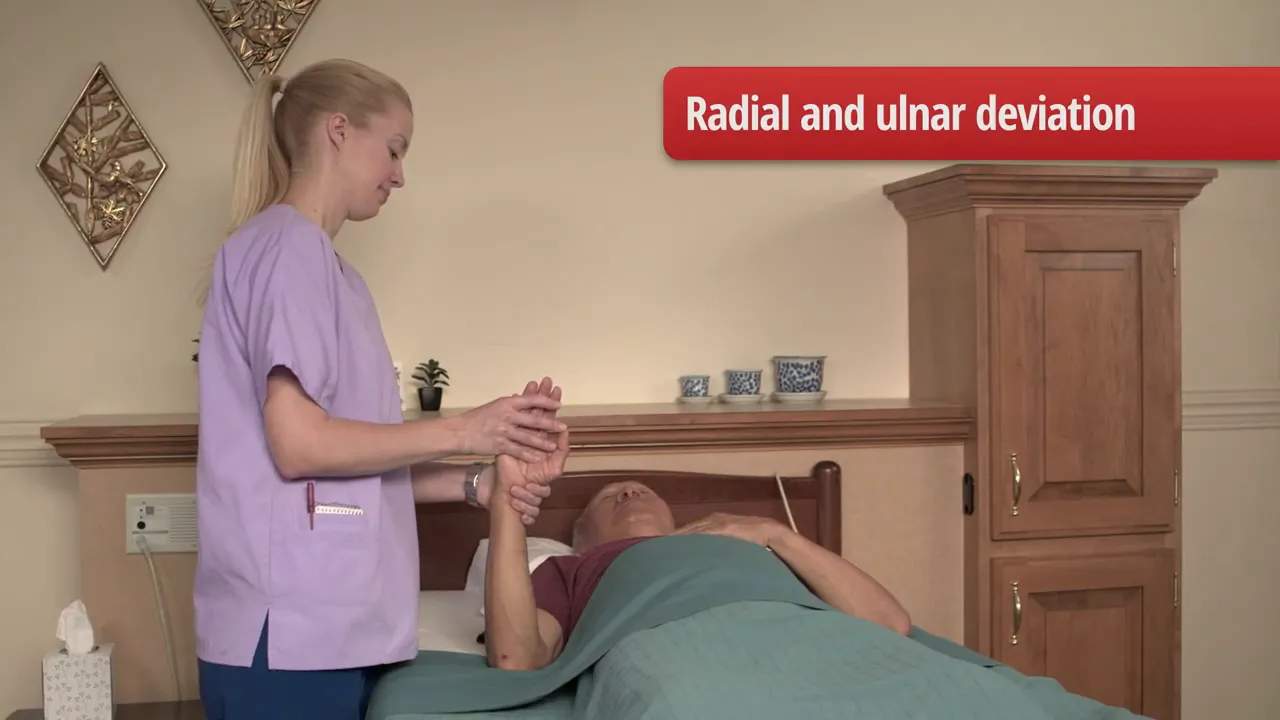 Hand held upright with label radial and ulnar deviation