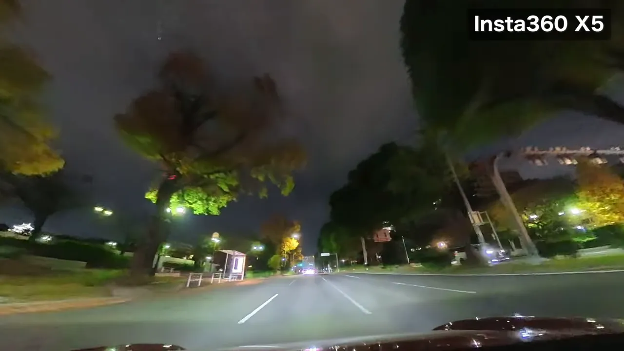Insta360 X5で撮影した夜の車載映像、両側の樹木と街灯が作る奥行き感のある通りの風景