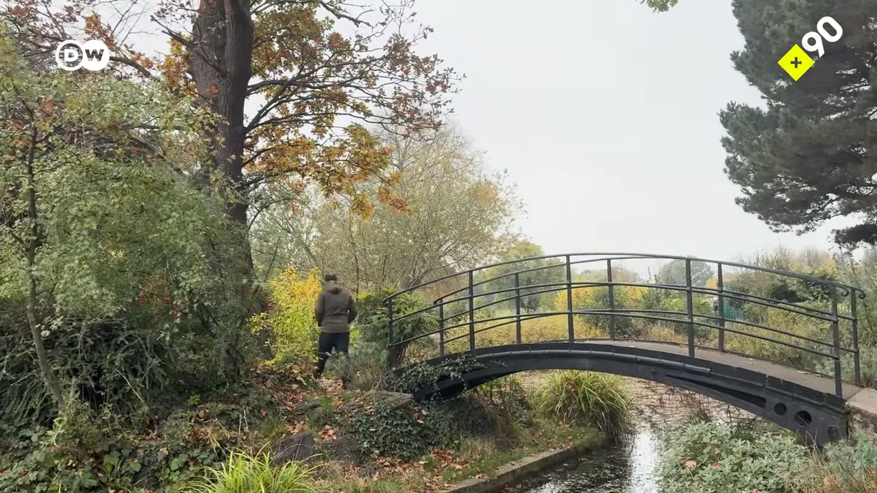 Parkta k&ouml;pr&uuml; ve nehir kenarında y&uuml;r&uuml;yen kişi, sonbahar manzarası