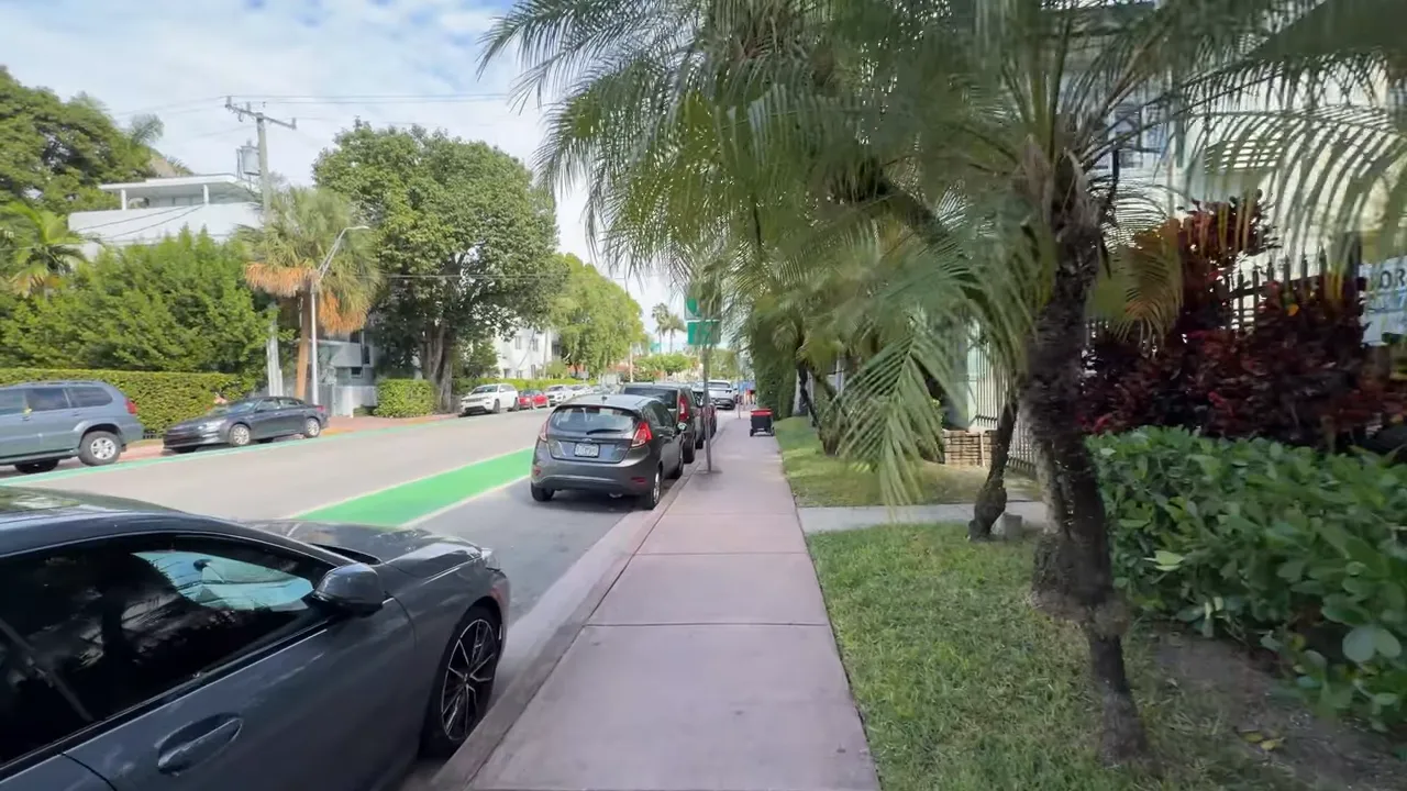 Palmiyeli Miami kaldırımı ve yanındaki apartmanlar, park edilmiş arabalar
