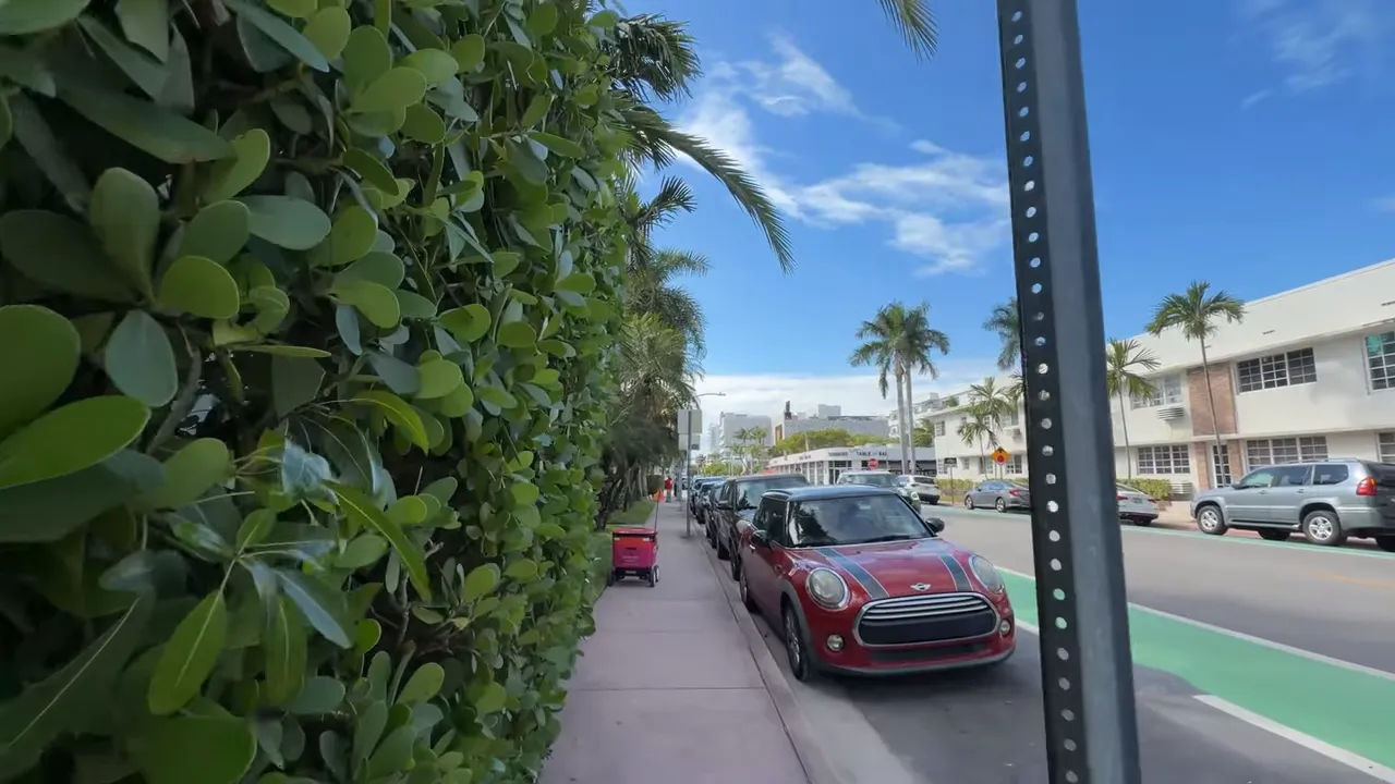 Miami sokağı, kaldırım boyunca park edilmiş arabalar, yeşil &ccedil;it ve bisiklet yolu işareti